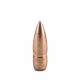 Frontier Range Master Bullets - 22 Cal 45gr BTSP [100]